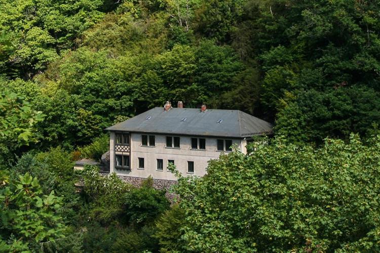 Haus Am Berg Villa Bad Bertrich Eksteriør bilde